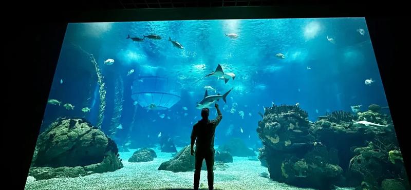 Atrakcje oceanarium Węgry