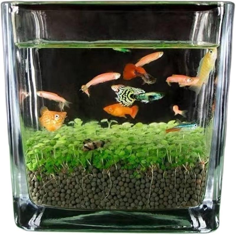 Dobór kompatybilnych gatunków ryb