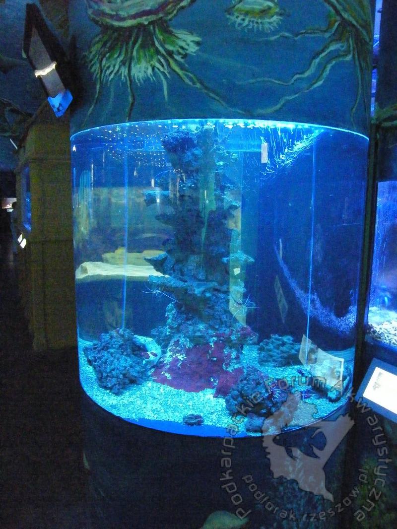 Edukacja o świecie podwodnym