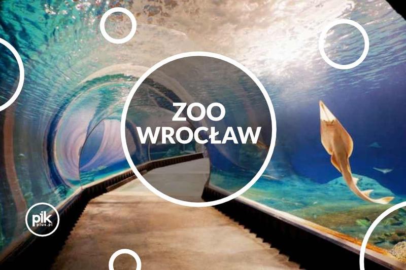 Godziny otwarcia oceanarium Wrocław