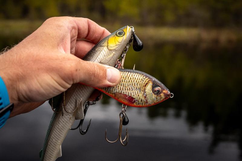 Gumy spinningowe kluczowe cechy skuteczności