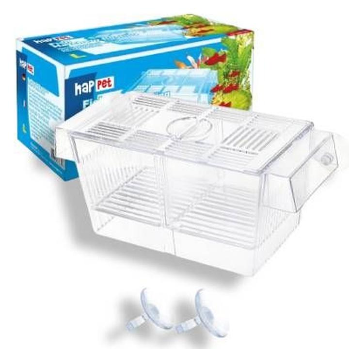 Hodowla i rozród gupików