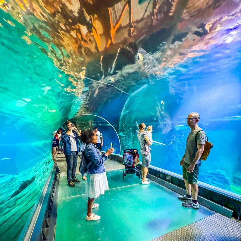 Jak zrealizować bon turystyczny