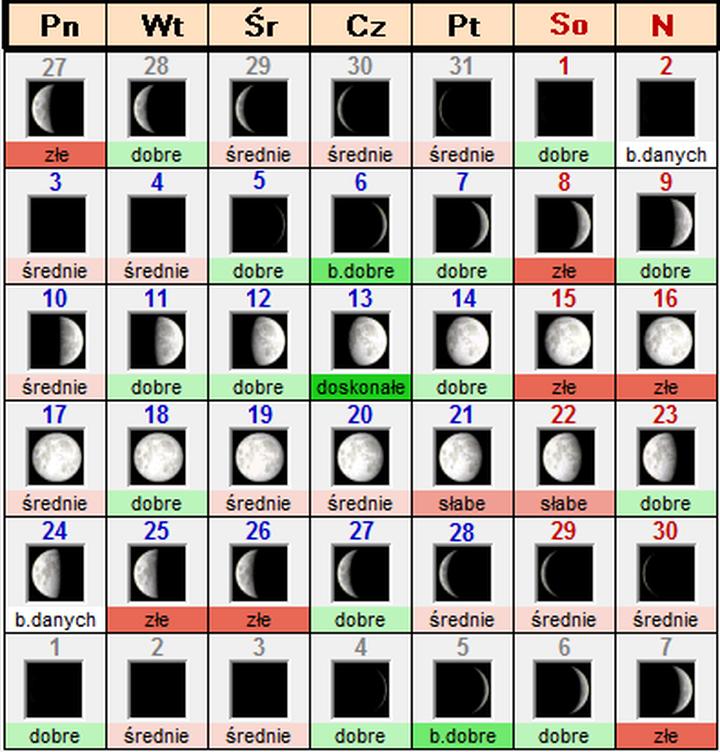 Kalendarz brań na dziś