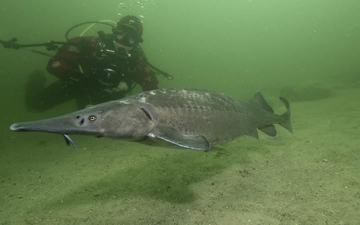 Legendy i tajemnice Jeziora Płotki