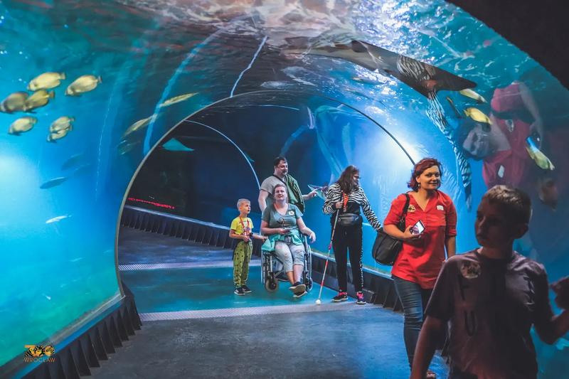 Najlepsze godziny na wizytę w oceanarium