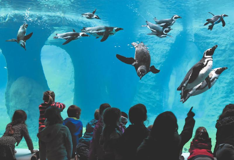 Największe oceanarium w Polsce