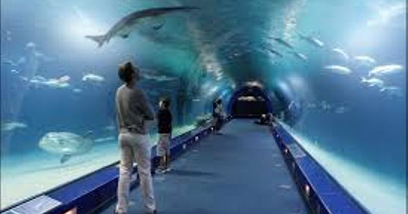 Oceanarium Kołobrzeg przewodnik