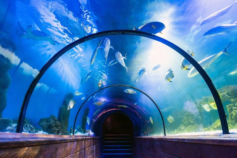 Oceanarium w Międzyzdrojach przewodnik
