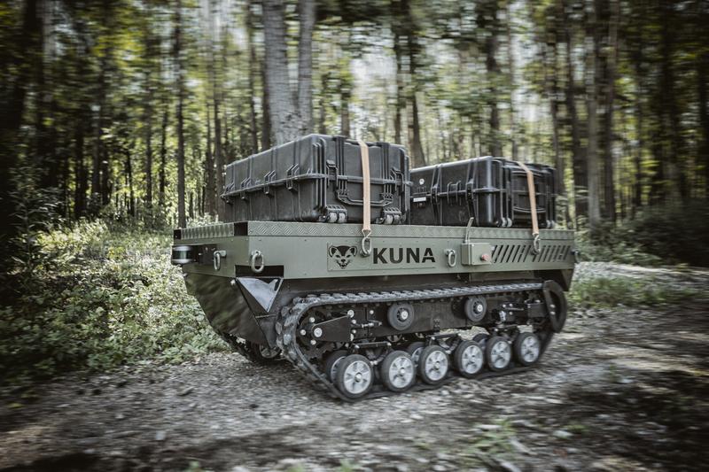 Ochrona domu przed kuną