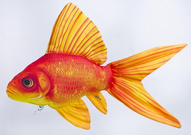 Pamięć złotej rybki