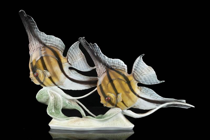 Pielęgnacja narybku skalarów