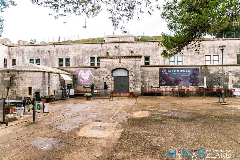 Planowanie wizyty w akwarium