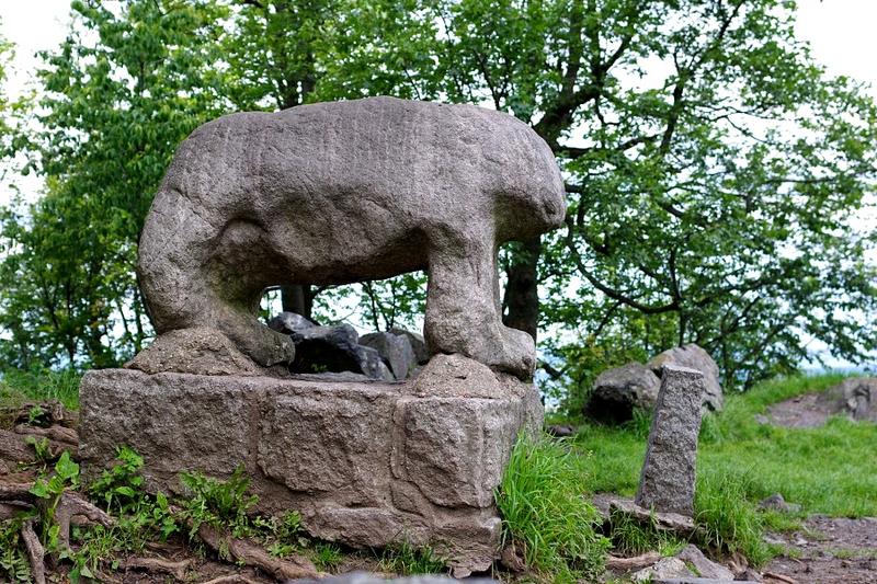 Przyroda rzeki Ślęży