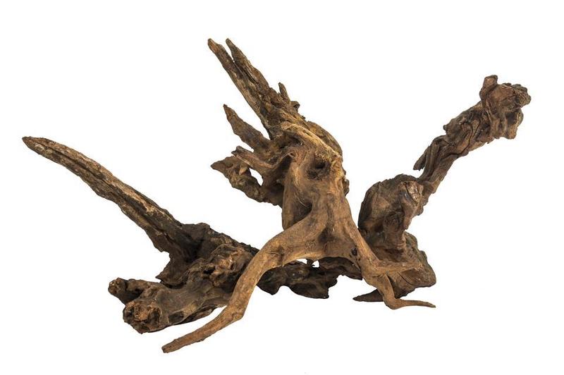 Rodzaje drewna akwarystycznego