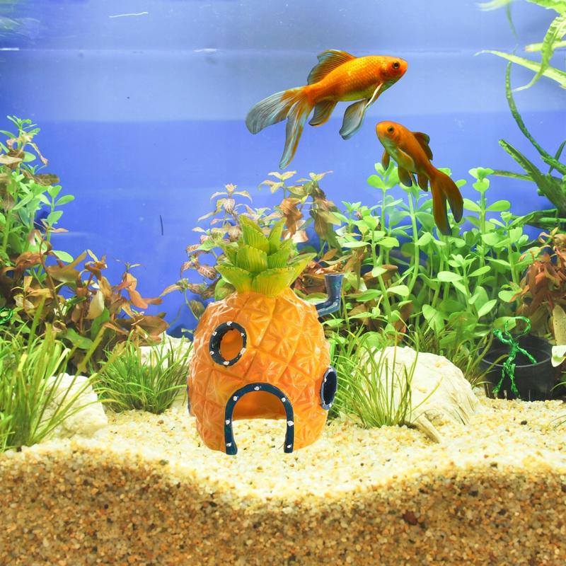 Rośliny i dekoracje do kuli