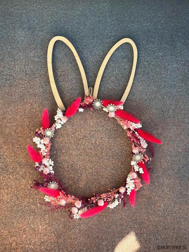 Rośliny jadalne dla zajęcy