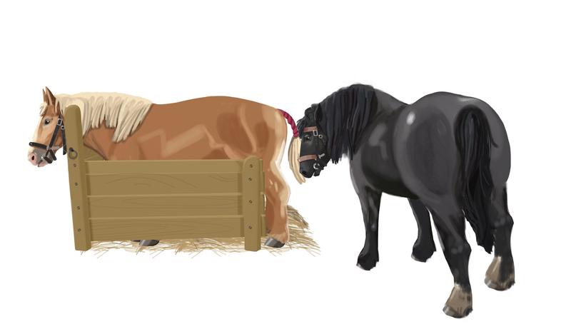 Rozmnażanie koni i poród