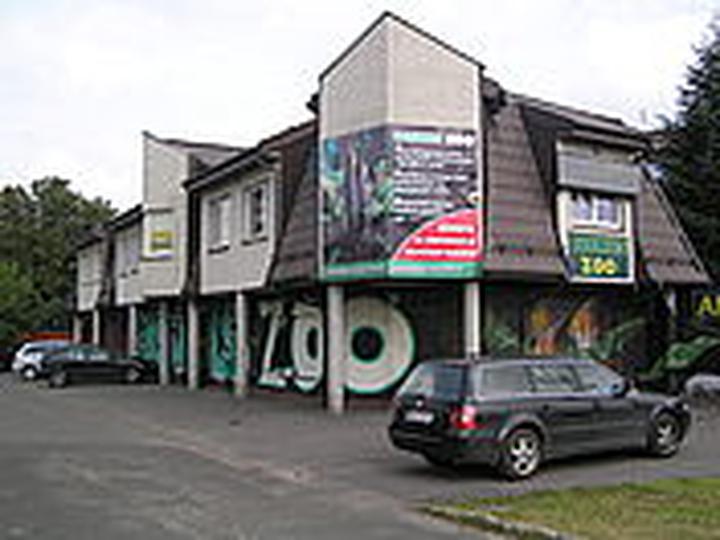 Rybki akwariowe Warszawa przewodnik