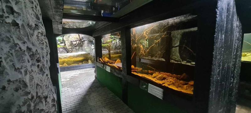 Tajemnice podwodnego świata