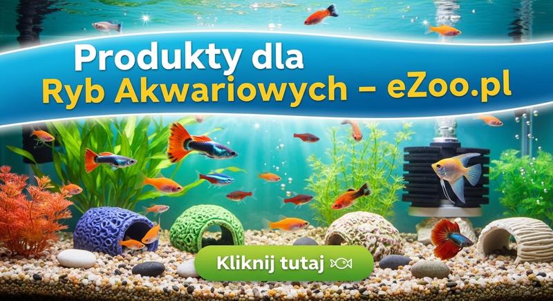 Utrzymanie czystości w kuli akwariowej