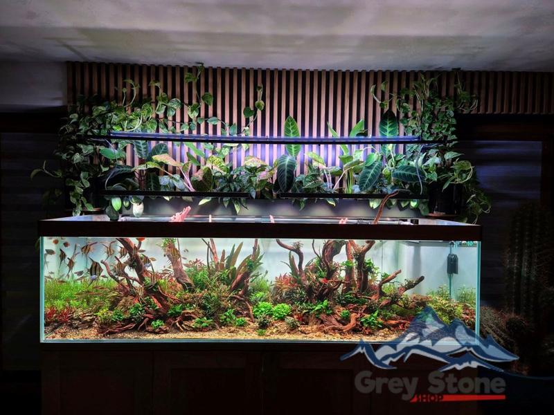 Zakładanie akwarium