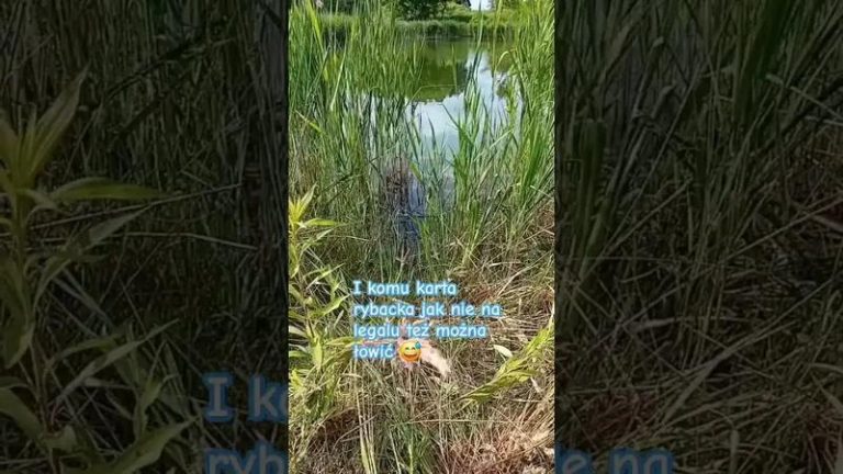 Gdzie można łowić ryby bez licencji? Odkryj najlepsze miejsca z kartą wędkarską!