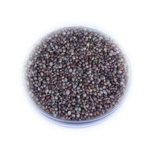 Gdzie nabyć konopie na ryby? Sprawdź nasz ranking topowych sklepów!