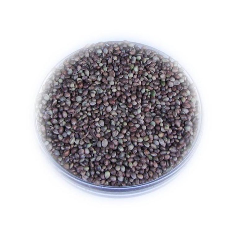 Gdzie nabyć konopie na ryby? Sprawdź nasz ranking topowych sklepów!