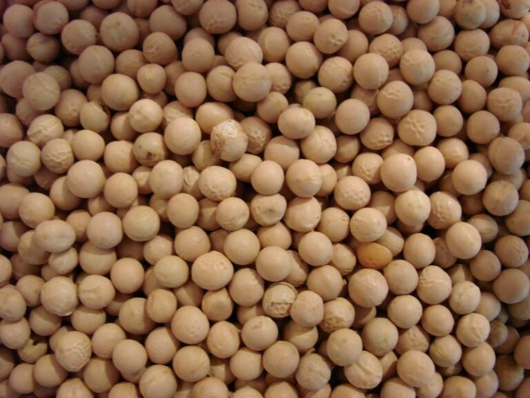 Jak przygotować idealny groch na ryby – skuteczny przepis na przynętę dla wędkarzy