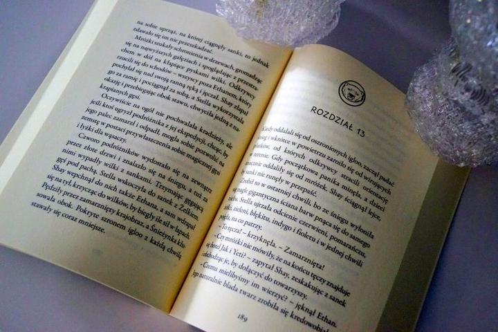 Odkryj fascynujący cykl życia mrówek: Jak rozmnażają się te niezwykłe owady?