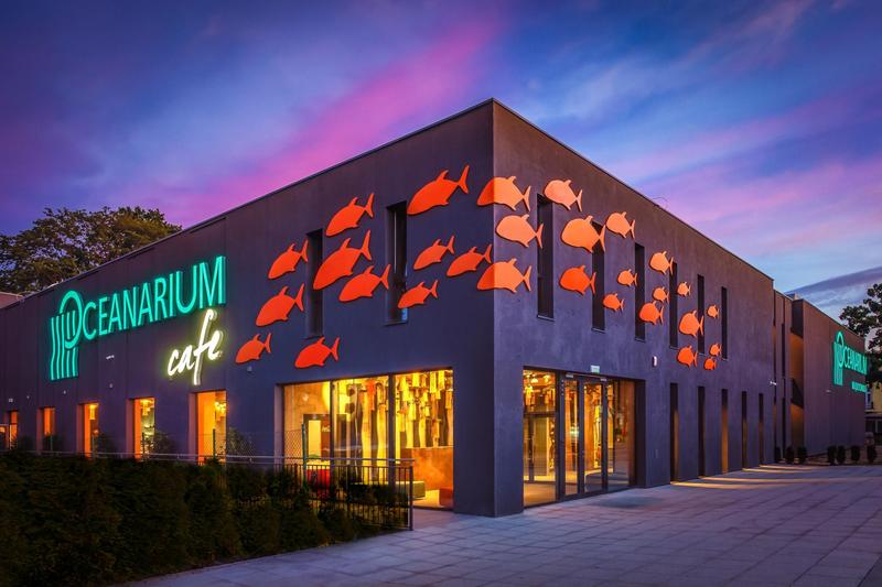 Odkryj magię Oceanarium w Międzyzdrojach: atrakcje, godziny otwarcia i ceny biletów