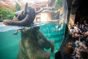 Odkryj niezwykłe atrakcje w największym oceanarium w Polsce – Łódź zaprasza!