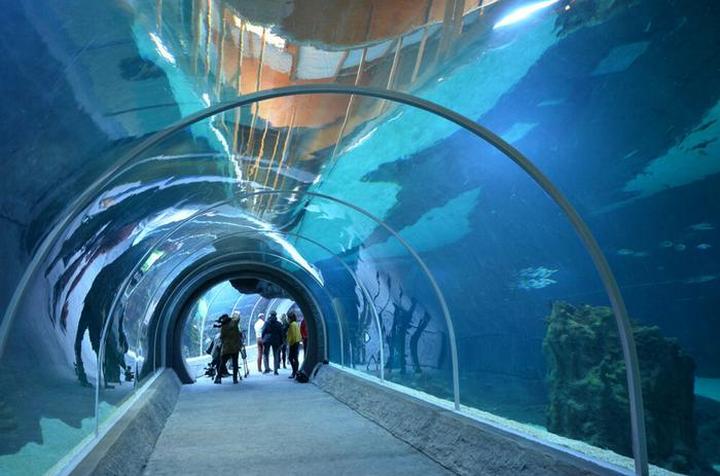 Odkryj oceanarium w Łodzi: fascynujące atrakcje i niezapomniane doświadczenia