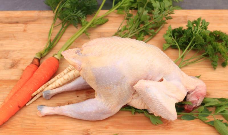 Odkryj sekrety diety bażanta – czym się żywi ten niezwykły ptak?