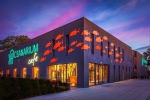 Odkryj Szczecin: Oceanarium na Wałach Chrobrego – atrakcje, godziny otwarcia i ceny biletów