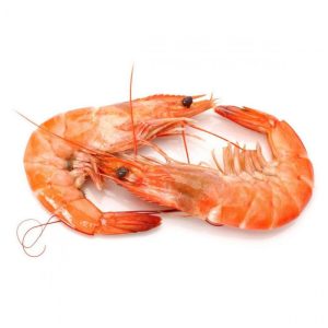 Odkryj tajemnice skutecznego rozmnażania krewetek – jak to zrobić krok po kroku?