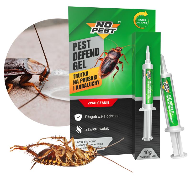 Sekrety rozmnażania karaluchów: jak szybko mogą się mnożyć?