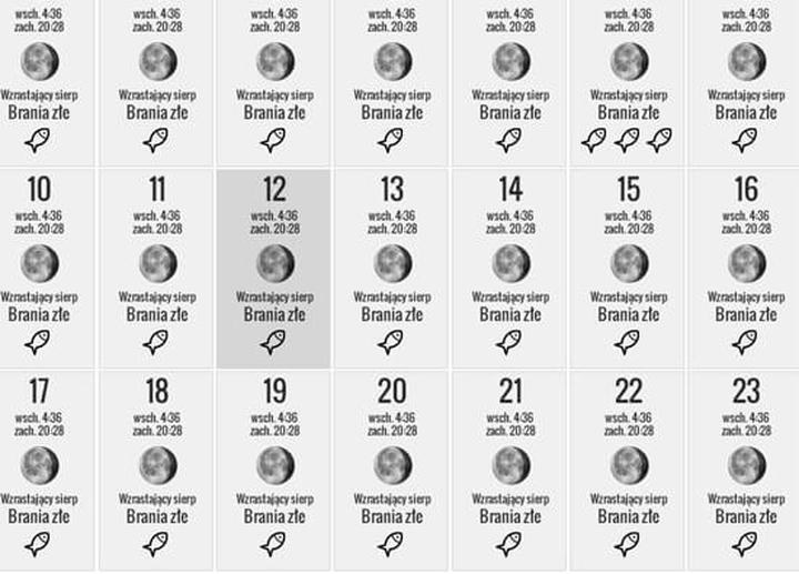 Sprawdź Kalendarz brań na dziś – jak prognoza brania ryb wpływa na Twój połów?
