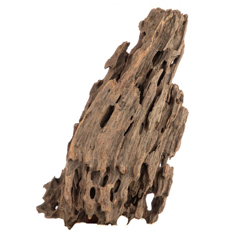 Zastanawiasz się, jakie drewno do akwarium wybrać? Oto najlepsze i bezpieczne opcje dla Twojego zbiornika!