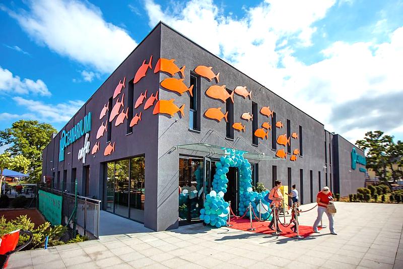 Atrakcje dla całej rodziny