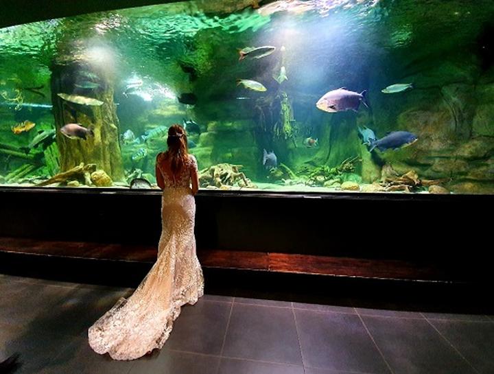 Atrakcje w Gliwicach