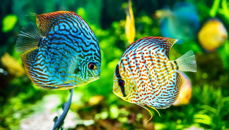 Czynniki wpływające na ceny