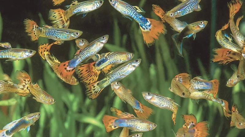 Czynniki wpływające na temperaturę