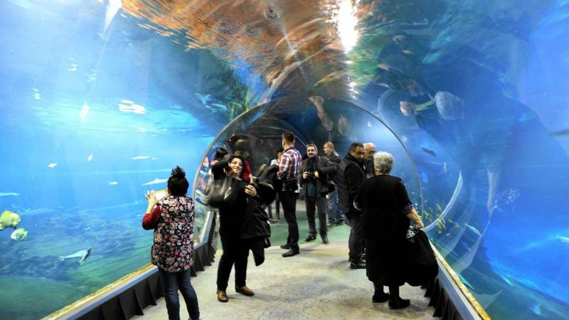 Edukacja ekologiczna