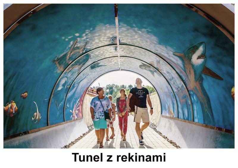 Edukacyjne programy dla dzieci