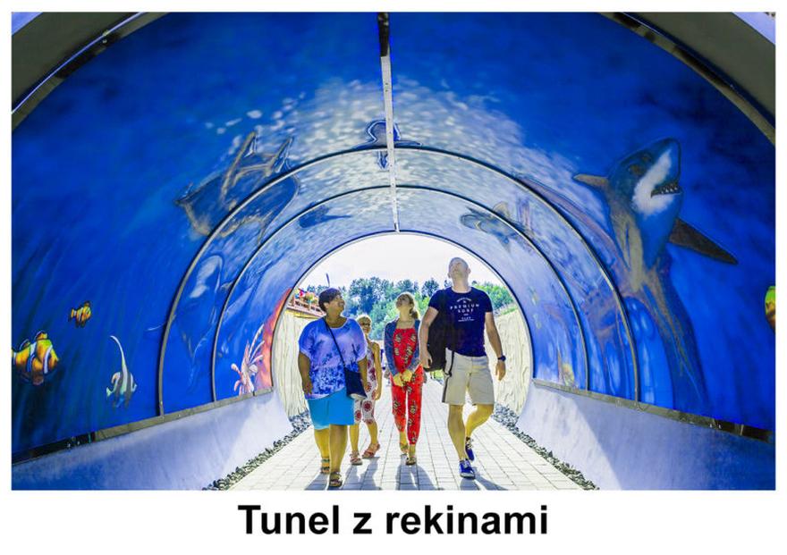 Fascynujące gatunki ryb