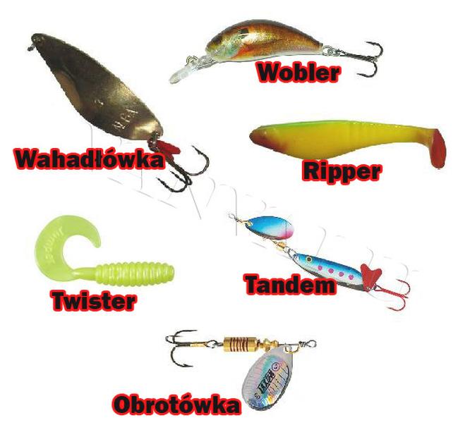 Gatunki ryb słodkowodnych