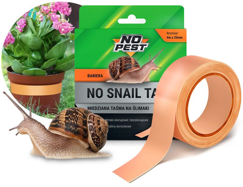 Hermafrodyty w naturze