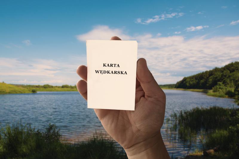 Najczęściej zadawane pytania